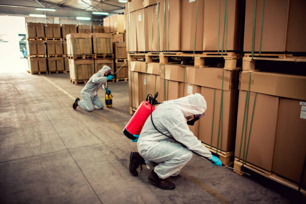 Trusted Waterloo, IA Pest Control Experts