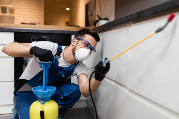 Best Pest Inspection Near Me  in Waterloo, IA