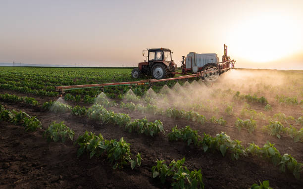 Best Best Pest Control Companies  in Waterloo, IA