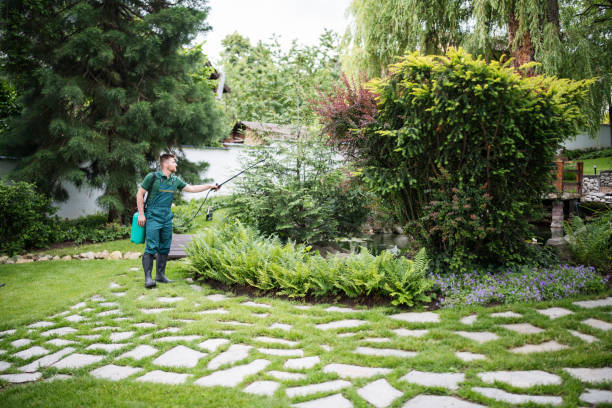 Best Affordable Pest Control Services  in Waterloo, IA