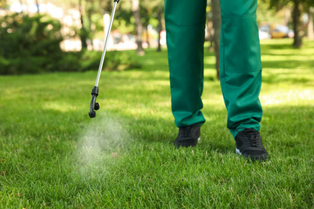Best Flea Control Services  in Waterloo, IA