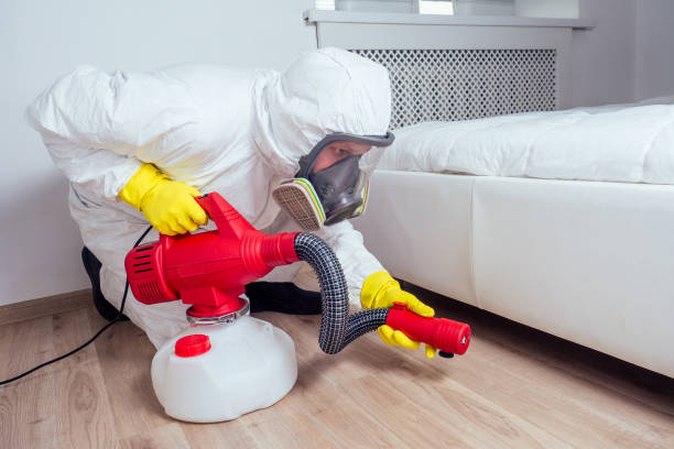 Insect Control in Waterloo, IA