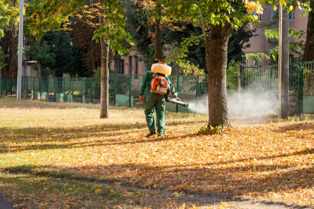 Best Pest Prevention Services  in Waterloo, IA