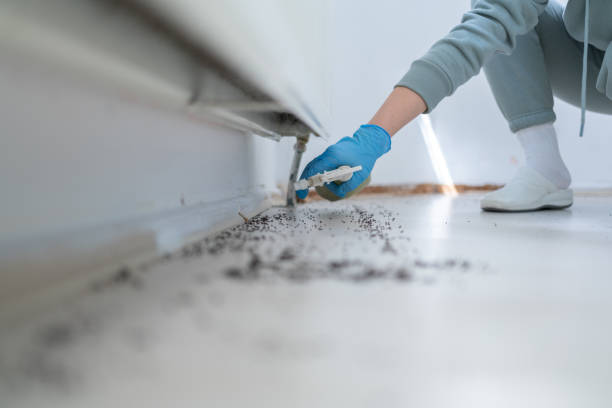 Best Exterminator Services  in Waterloo, IA