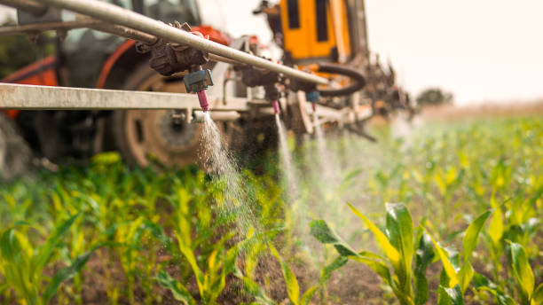 Best Best Pest Control Companies  in Waterloo, IA